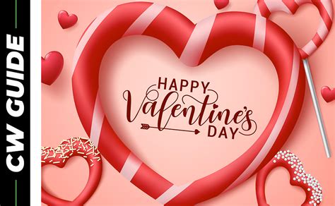 A GUIDE TO THE VDAY VID .